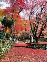 鶏足寺の{uncategorized: "未分類", other: "その他", undefined: "問題あり", building: "その他建物", grave: "お墓", sacred_gate: "鳥居", guardian: "狛犬", statue: "像", buddha: "仏像", history: "歴史", nature: "自然", garden: "庭園", animal: "動物", pagoda: "塔", temizu: "手水舎", mountain_gate: "山門・神門", sanctuary: "本殿・本堂", subordinate: "末社・摂社", art: "芸術", scenery: "景色", jizo: "地蔵", ema: "絵馬", goshuin: "御朱印", omikuji: "おみくじ", items: "授与品その他", amulet: "お守り", goshuincho: "御朱印帳", eats: "食事", festival: "お祭り", votive_dance: "神楽", shichigosan: "七五三参", wedding: "結婚式", experience: "体験その他", initially: "初詣", around: "周辺", anti_infection: "感染症対策"}