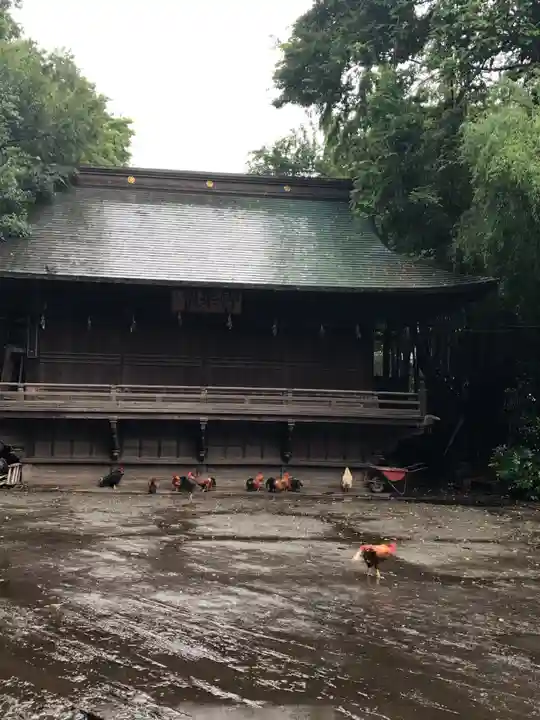 谷保天満宮のその他建物