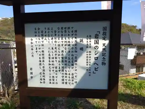 岩国白蛇神社(山口県)