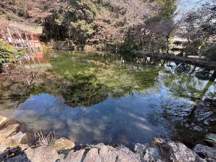 富士山本宮浅間大社(静岡県)