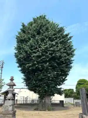 香取神社(埼玉県)