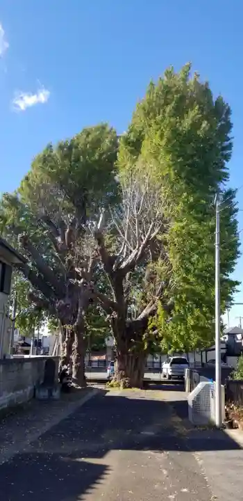 愛宕神社の自然