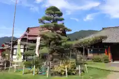 上田大神宮の自然