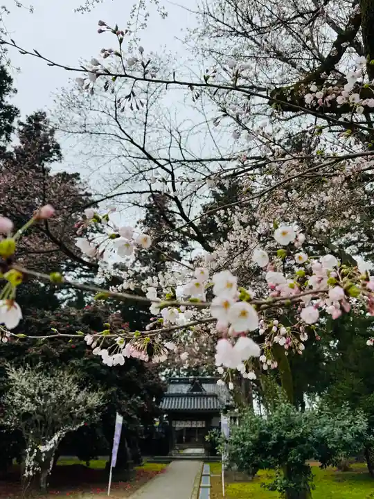 守りの神 藤基神社の山門・神門