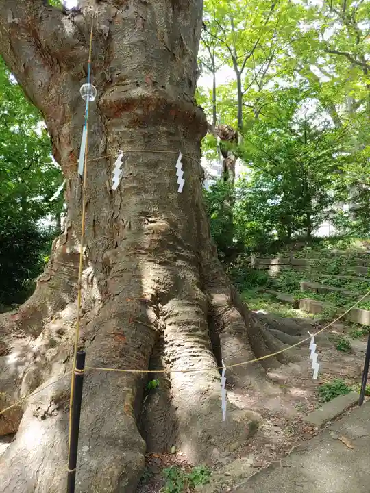 愛宕神社(福島県)