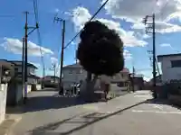 道祖神(千葉県)