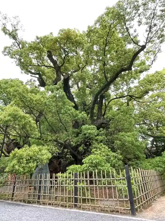 浜松八幡宮の{uncategorized: "未分類", other: "その他", undefined: "問題あり", building: "その他建物", grave: "お墓", sacred_gate: "鳥居", guardian: "狛犬", statue: "像", buddha: "仏像", history: "歴史", nature: "自然", garden: "庭園", animal: "動物", pagoda: "塔", temizu: "手水舎", mountain_gate: "山門・神門", sanctuary: "本殿・本堂", subordinate: "末社・摂社", art: "芸術", scenery: "景色", jizo: "地蔵", ema: "絵馬", goshuin: "御朱印", omikuji: "おみくじ", items: "授与品その他", amulet: "お守り", goshuincho: "御朱印帳", eats: "食事", festival: "お祭り", votive_dance: "神楽", shichigosan: "七五三参", wedding: "結婚式", experience: "体験その他", initially: "初詣", around: "周辺", anti_infection: "感染症対策"}