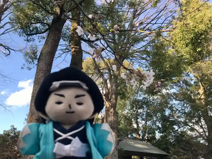 阿佐ヶ谷神明宮(東京都)