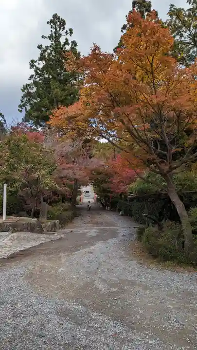 正法寺(京都府)
