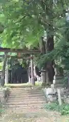 質美八幡宮の自然