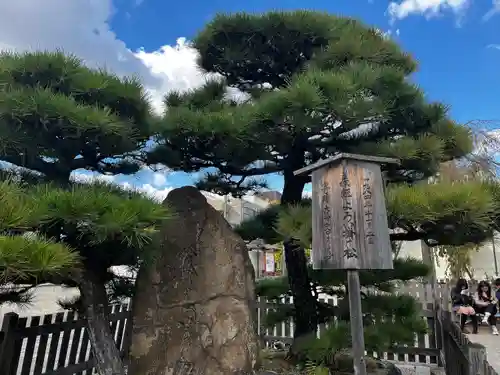 四天王寺(大阪府)