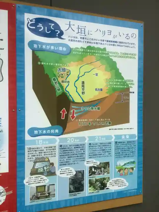 加賀野八幡神社の自然