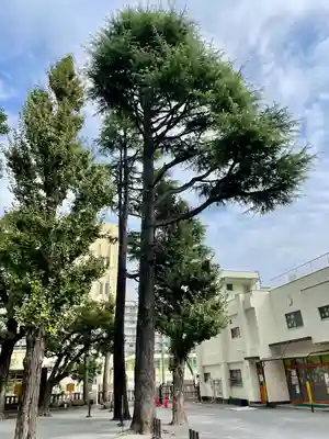 お三の宮日枝神社(神奈川県)
