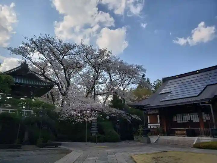 福蔵院(東京都)
