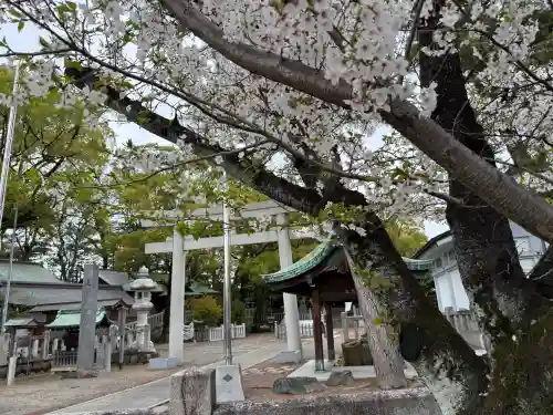 堤治神社の{uncategorized: "未分類", other: "その他", undefined: "問題あり", building: "その他建物", grave: "お墓", sacred_gate: "鳥居", guardian: "狛犬", statue: "像", buddha: "仏像", history: "歴史", nature: "自然", garden: "庭園", animal: "動物", pagoda: "塔", temizu: "手水舎", mountain_gate: "山門・神門", sanctuary: "本殿・本堂", subordinate: "末社・摂社", art: "芸術", scenery: "景色", jizo: "地蔵", ema: "絵馬", goshuin: "御朱印", omikuji: "おみくじ", items: "授与品その他", amulet: "お守り", goshuincho: "御朱印帳", eats: "食事", festival: "お祭り", votive_dance: "神楽", shichigosan: "七五三参", wedding: "結婚式", experience: "体験その他", initially: "初詣", around: "周辺", anti_infection: "感染症対策"}