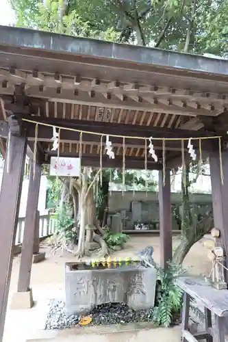 柏諏訪神社(千葉県)