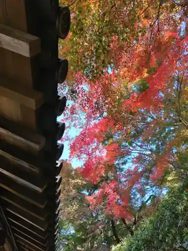吉備津神社(岡山県)