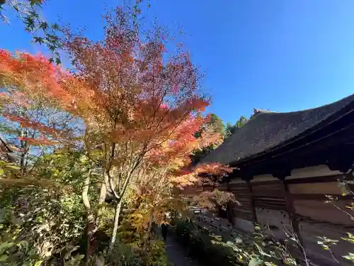 国宝　長寿寺(滋賀県)