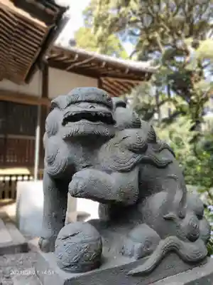 縣神社の狛犬