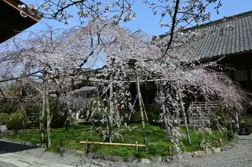 毘沙門堂門跡(京都府)