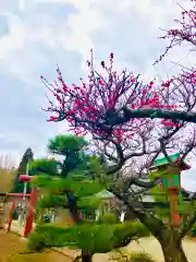 女化神社の自然