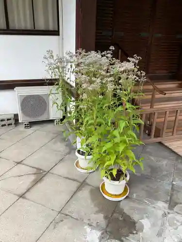 大聖寺門跡(京都府)