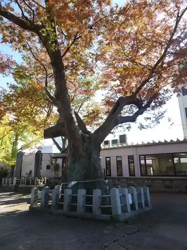 阿邪訶根神社の自然