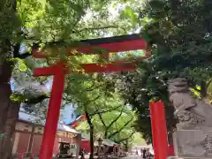 花園神社の鳥居