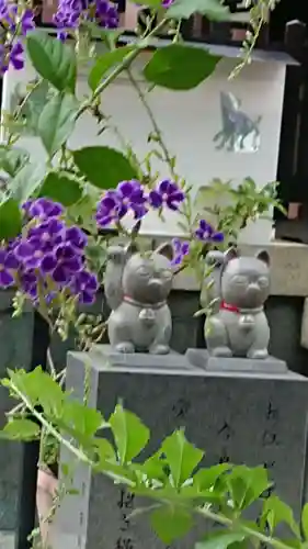 今戸神社の狛犬