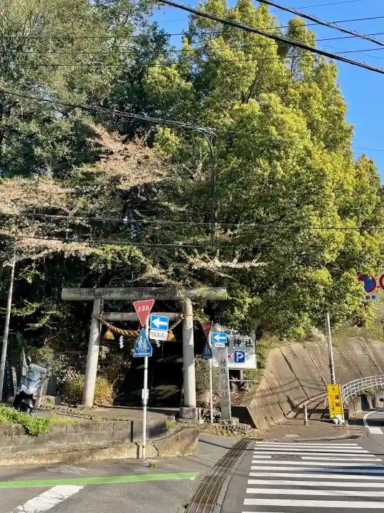 狭山八幡神社の{uncategorized: "未分類", other: "その他", undefined: "問題あり", building: "その他建物", grave: "お墓", sacred_gate: "鳥居", guardian: "狛犬", statue: "像", buddha: "仏像", history: "歴史", nature: "自然", garden: "庭園", animal: "動物", pagoda: "塔", temizu: "手水舎", mountain_gate: "山門・神門", sanctuary: "本殿・本堂", subordinate: "末社・摂社", art: "芸術", scenery: "景色", jizo: "地蔵", ema: "絵馬", goshuin: "御朱印", omikuji: "おみくじ", items: "授与品その他", amulet: "お守り", goshuincho: "御朱印帳", eats: "食事", festival: "お祭り", votive_dance: "神楽", shichigosan: "七五三参", wedding: "結婚式", experience: "体験その他", initially: "初詣", around: "周辺", anti_infection: "感染症対策"}