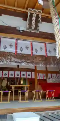 白井神社(兵庫県)