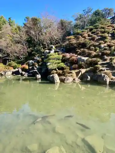 根来寺 智積院の庭園