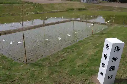 高屋敷稲荷神社のお祭り