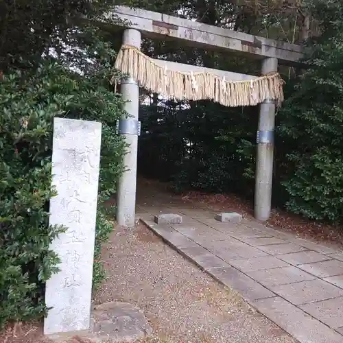 大國玉神社の鳥居