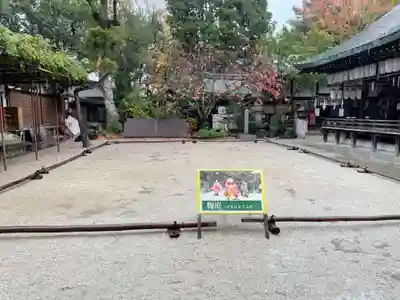 白峯神宮(京都府)