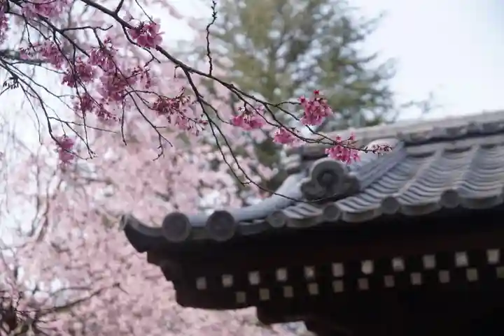 新井薬師(梅照院)のその他建物