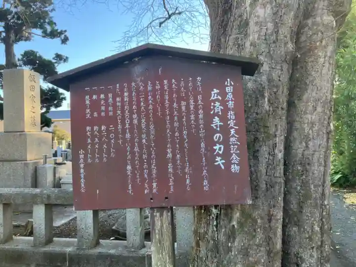 広済寺のその他建物