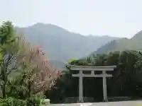 屋久島大社の鳥居