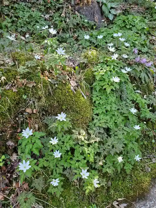 田村大元神社の自然