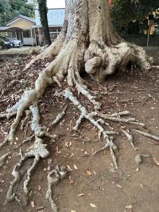 春日神社(茨城県)