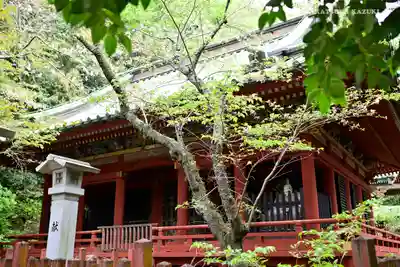 静岡浅間神社の本殿・本堂