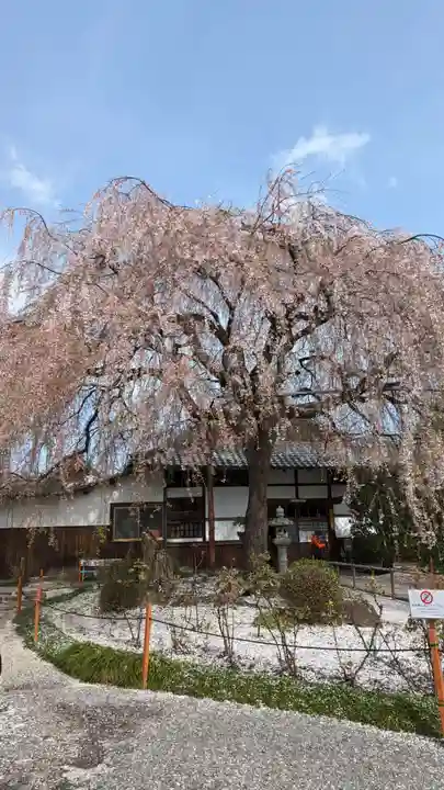 本満寺(本願満足寺)(京都府)
