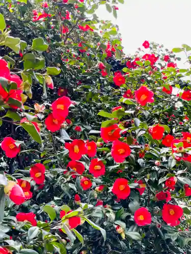 守りの神　藤基神社の自然