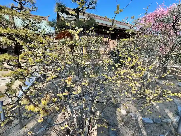 結城神社の{uncategorized: "未分類", other: "その他", undefined: "問題あり", building: "その他建物", grave: "お墓", sacred_gate: "鳥居", guardian: "狛犬", statue: "像", buddha: "仏像", history: "歴史", nature: "自然", garden: "庭園", animal: "動物", pagoda: "塔", temizu: "手水舎", mountain_gate: "山門・神門", sanctuary: "本殿・本堂", subordinate: "末社・摂社", art: "芸術", scenery: "景色", jizo: "地蔵", ema: "絵馬", goshuin: "御朱印", omikuji: "おみくじ", items: "授与品その他", amulet: "お守り", goshuincho: "御朱印帳", eats: "食事", festival: "お祭り", votive_dance: "神楽", shichigosan: "七五三参", wedding: "結婚式", experience: "体験その他", initially: "初詣", around: "周辺", anti_infection: "感染症対策"}