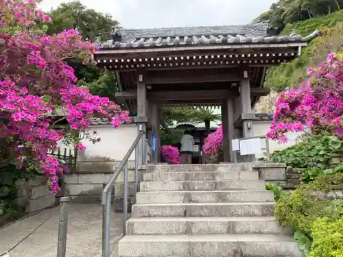 安養院　(田代寺）(神奈川県)