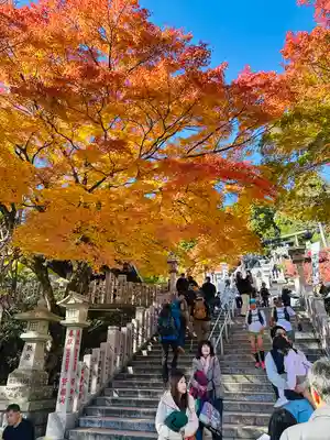大山阿夫利神社(神奈川県)