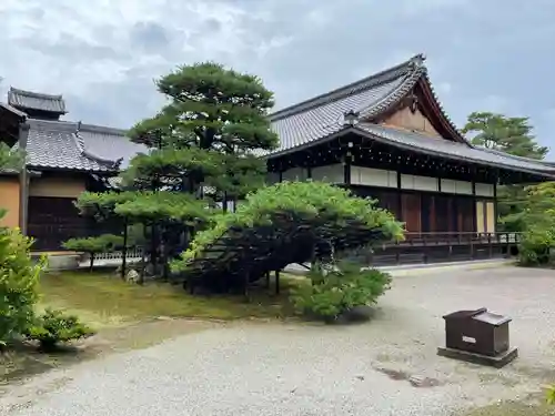 鹿苑寺（金閣寺）(京都府)