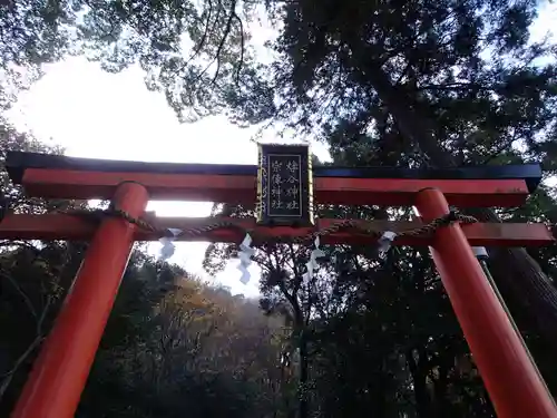 櫟谷宗像神社（松尾大社摂社）の鳥居