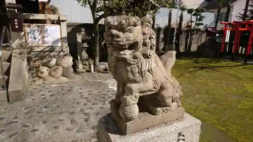 縣神社の狛犬