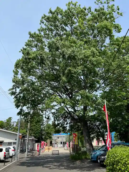 二柱神社(宮城県)